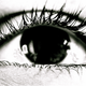 Illustration for article titled Shooting Challenge Eye Gallery 1